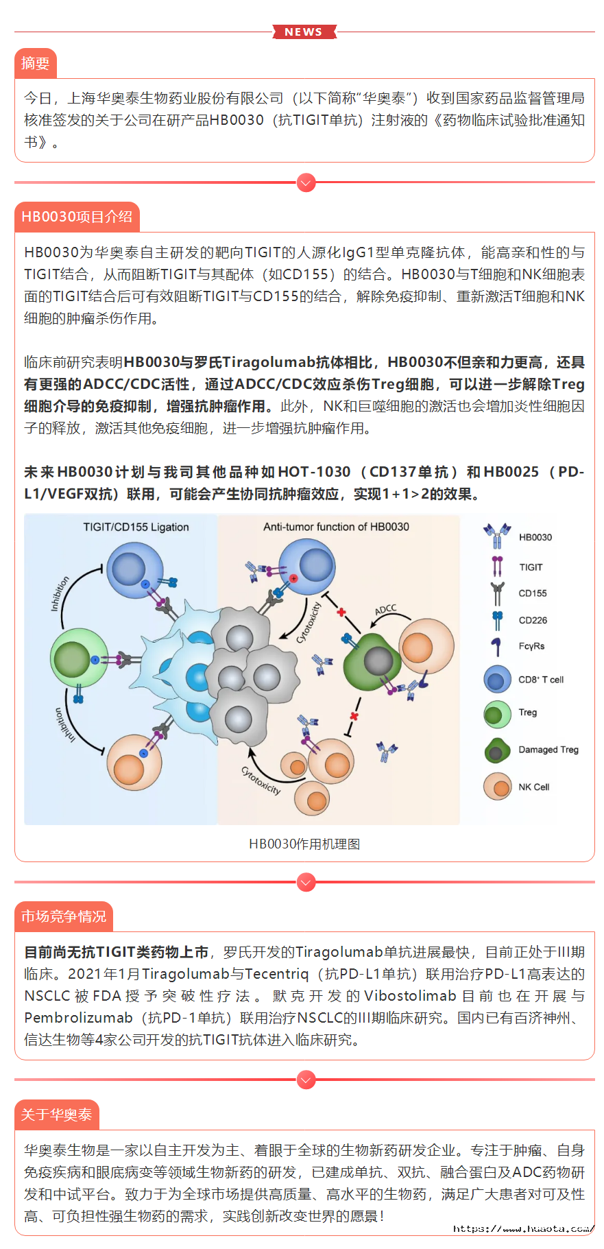 祝贺PG电子·麻将胡了官方网站生物TIGIT单抗获批临床.png